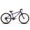 Frog 62 Purple childs bike