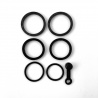 Hope Caliper Seal kit complete - V4