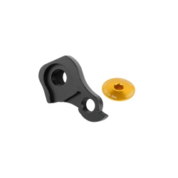 Intense derailleur hanger kit with gold bolt