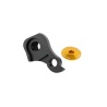Intense derailleur hanger kit with gold bolt