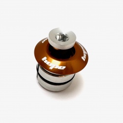 Hope Head Doctor - Bronze