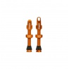 Hope Tubeless Valve Pair - 60mm - Orange