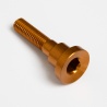 Hope Headset Head Bolt - Bronze - Old Version Pre-2024