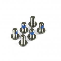 Hope M5 X 10 Torx Head Screw titanium 6 per pack