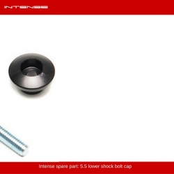 Intense 5.5 shock bolt cap
