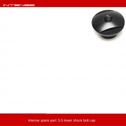 Intense 5.5 shock bolt nut