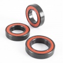 Orbea Wild FS 20 Main Pivot Bearing Kit