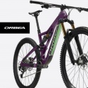 Orbea Bikes